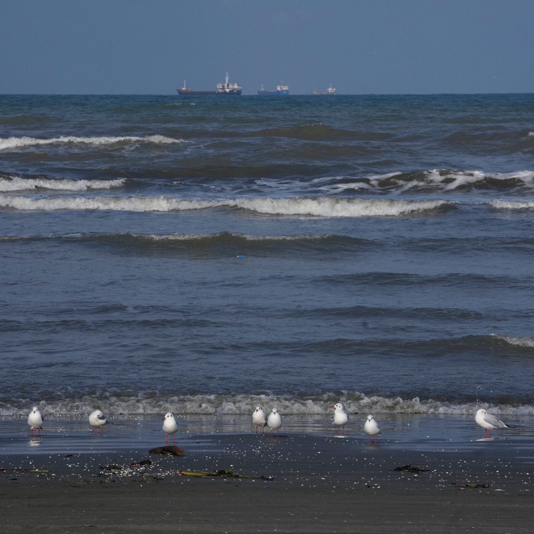 The southern coast of the Caspian Sea at the port city of Bandar Anzali, Iran, last year. - nytimes.com