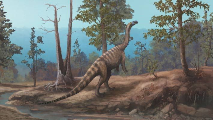Life reconstruction of Musango matusadonaensis. - Mark Witton