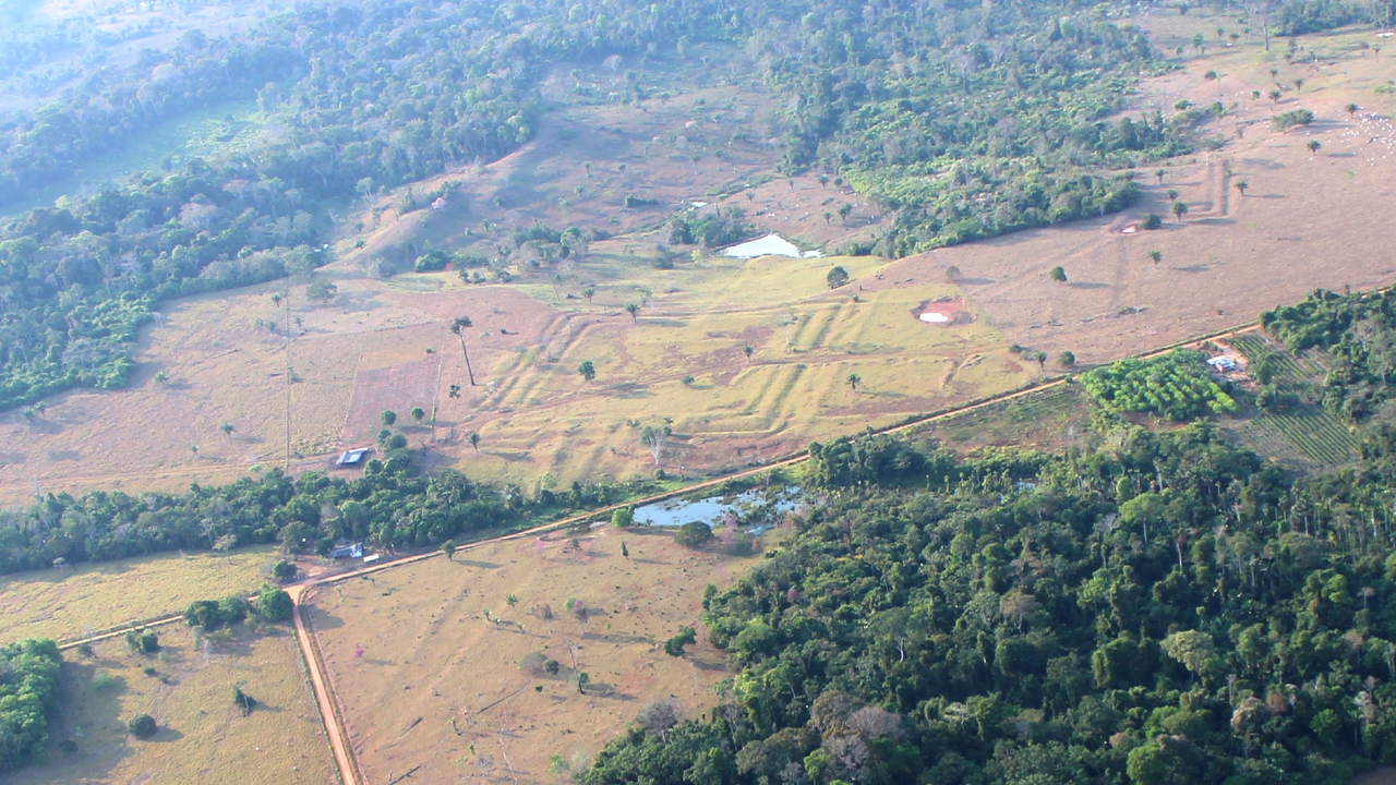Ancient square-shaped geoglyph in Acre, Brazil. - Martti Pärssinen