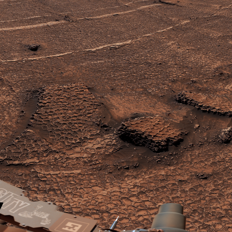 Curiosity image of honeycomb-like polygonal fractures on Mars - NASA/JPL-Caltech/MSSS