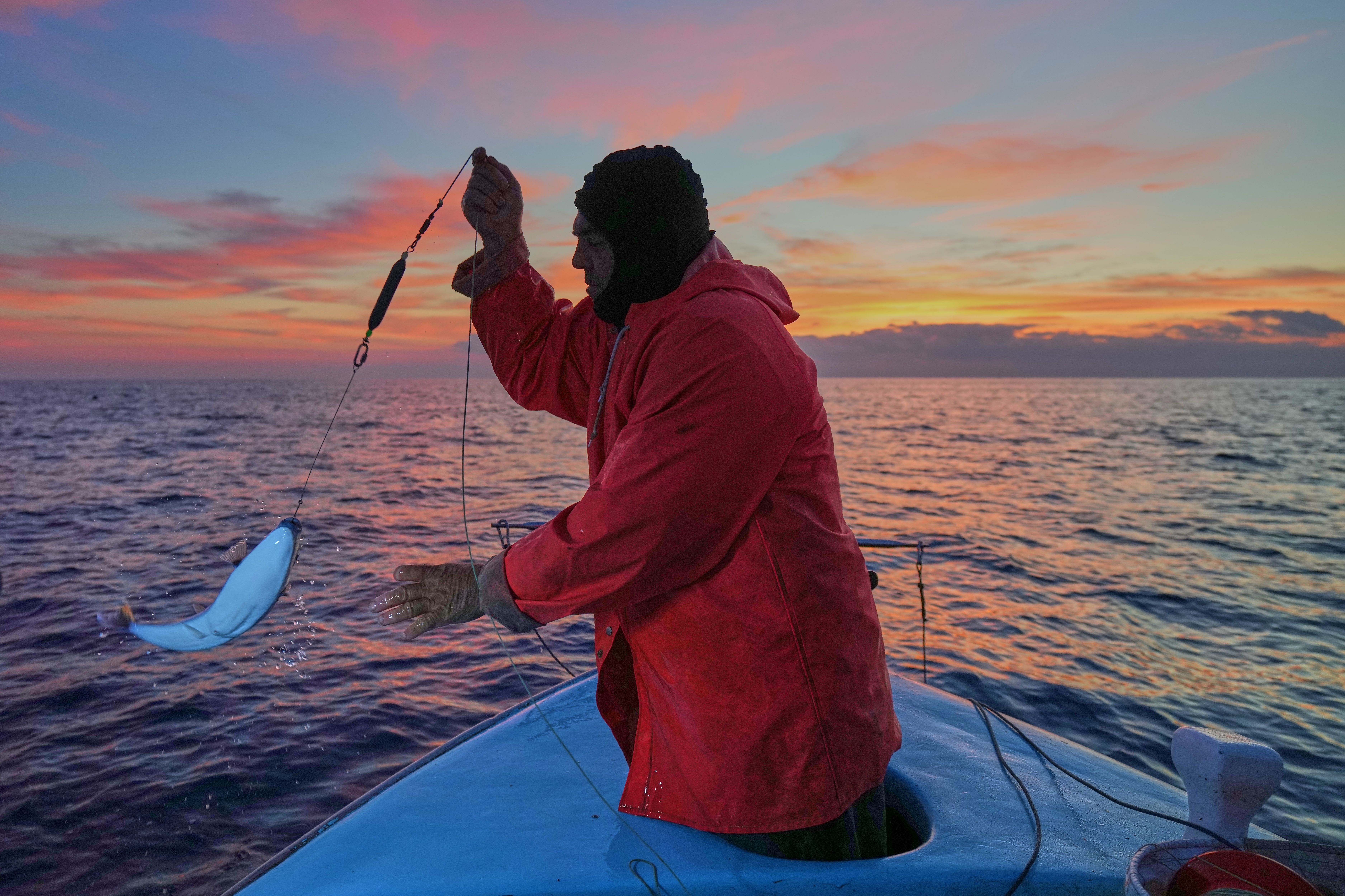 Fisherman Photis Gaitanos catches a toadfish while fishing from his boat off the coast of Larnaca, Cyprus, in the eastern Mediterranean, on Dec. 20, 2025. - politicopro.com