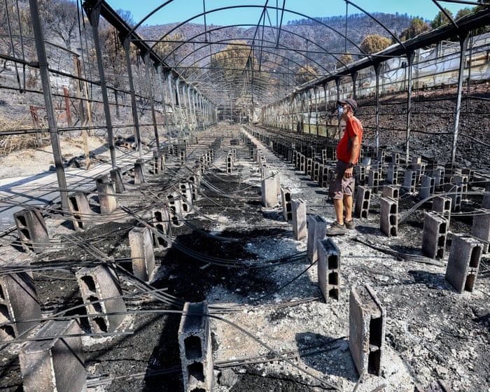 A man inspects damage to his property in an area scorched by a wildfire near Vila Vella, Spain. - Damian Torres/AP