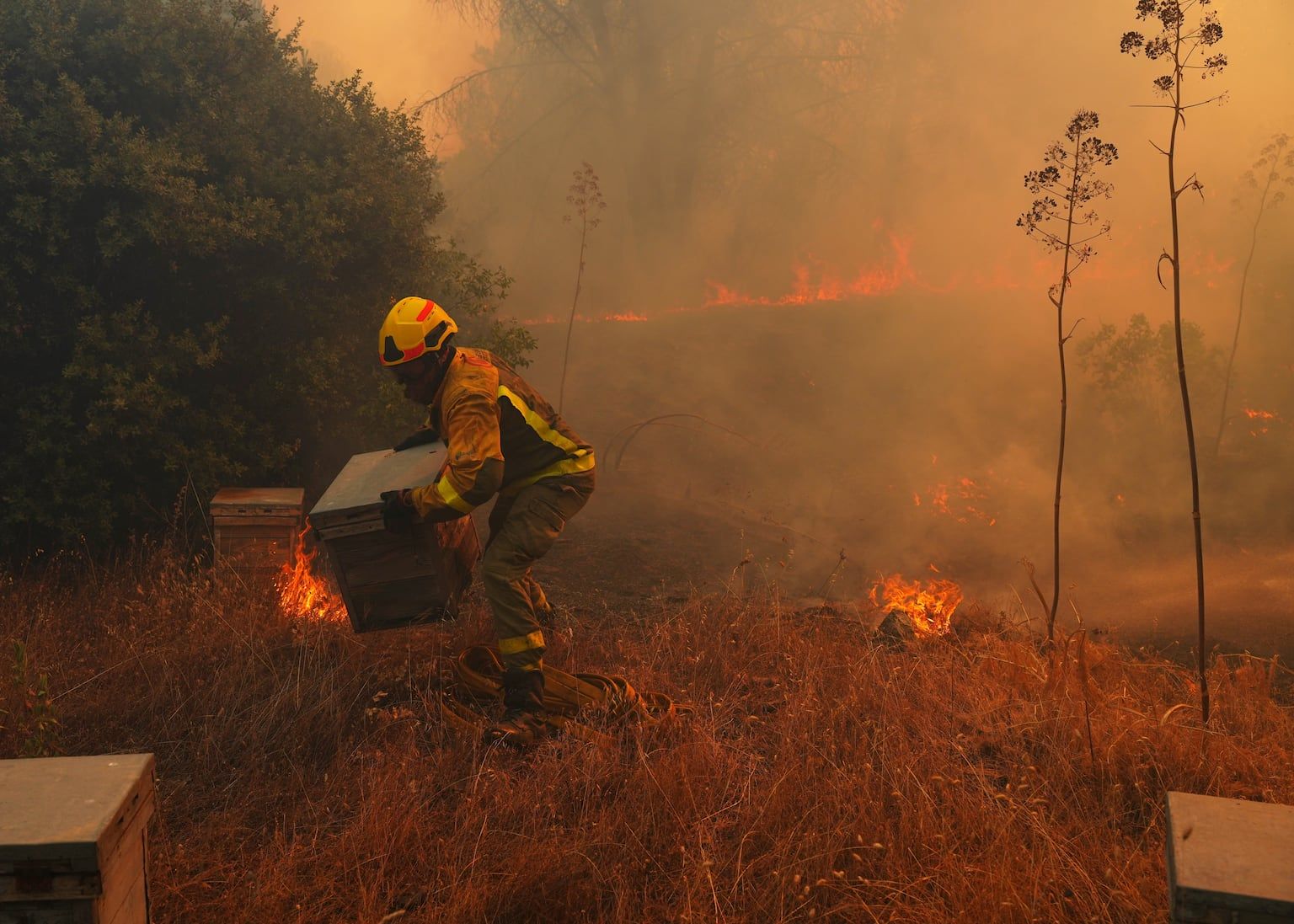 A firefighter moves beehives away from flames while battling a wildfire west of Madrid, Spain. - Manu Fernandez/AP