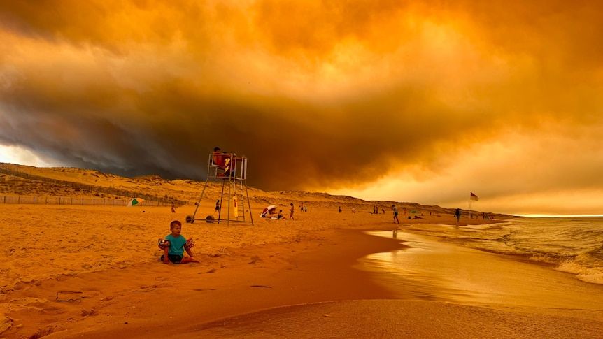 Stefan Rahmstorf took this photo while on holidays amid the fire emergencies gripping south-west France. - Stefan Rahmstorf