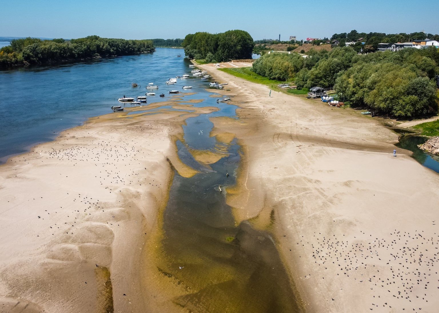 Low water levels on the Danube River during the drought - Nicolae Dumitrache/AP