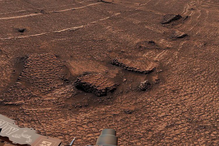 Close-up view of the honeycomb-like polygon field photographed by NASA's Curiosity rover. - NASA/JPL-Caltech/MSSS