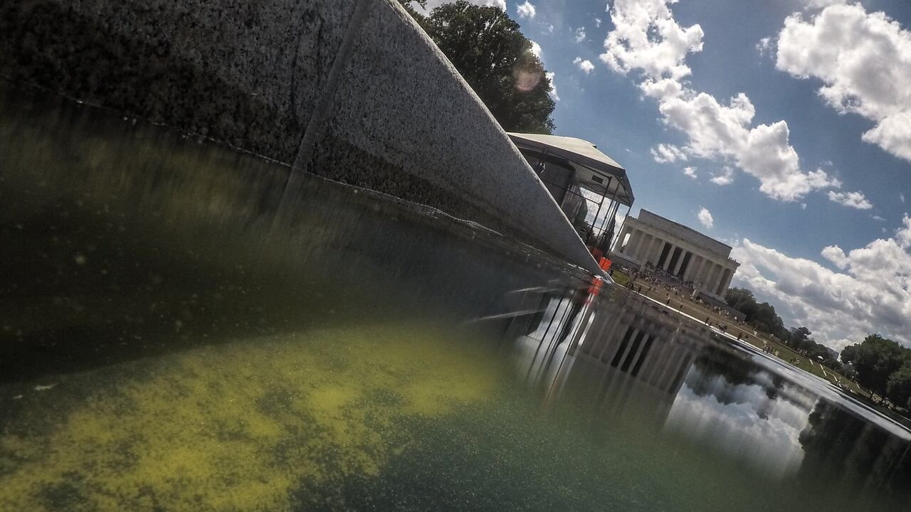 The Lincoln Memorial Reflecting Pool in Washington, D.C., on June 18, 2026. - Oliver Contreras/AFP