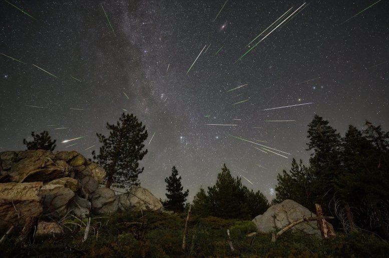 Perseid meteors streak over Sequoia National Forest in a 2023 NASA file photo. - NASA/Preston Dyches
