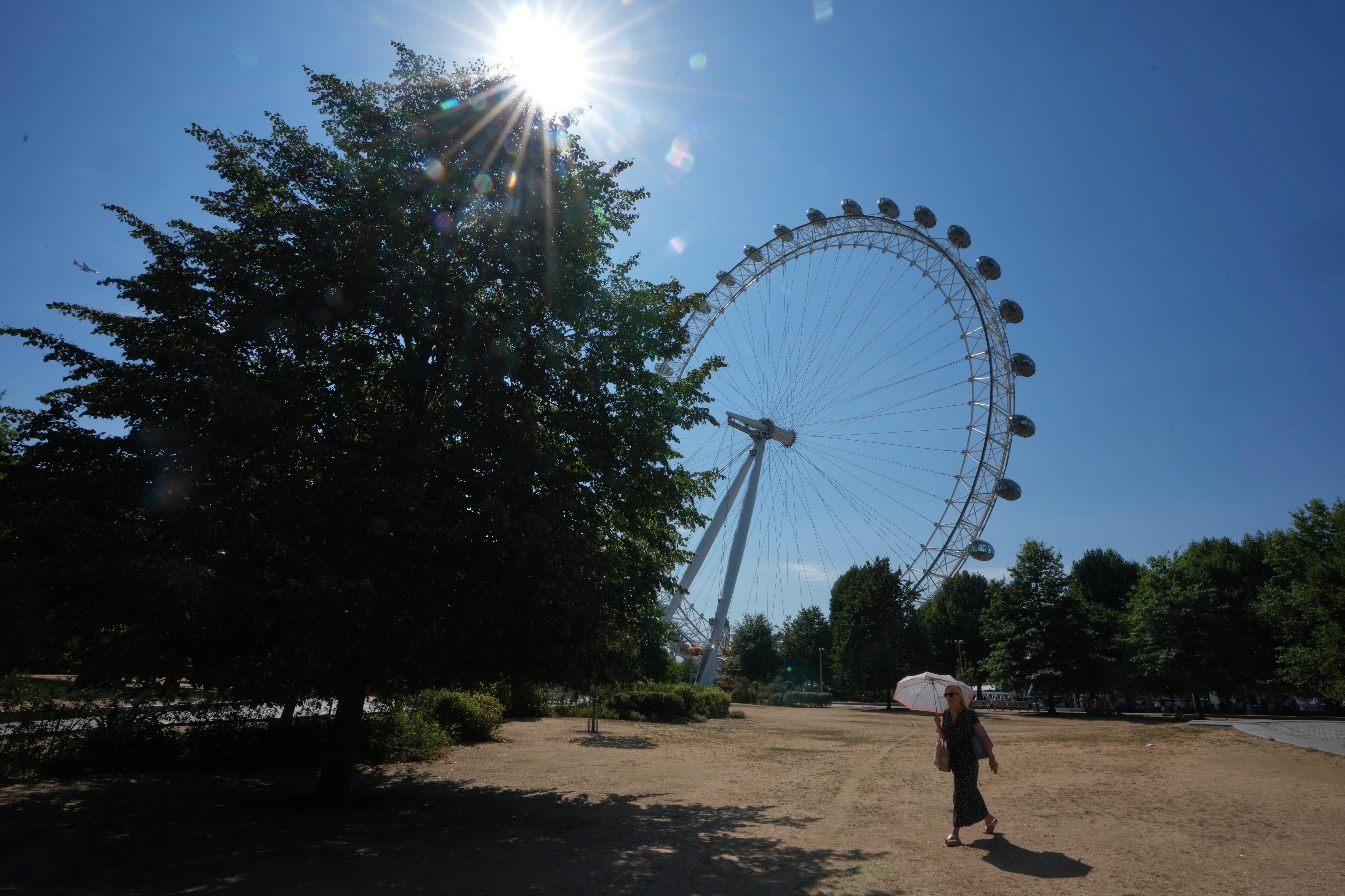A woman shades under an umbrella as she walks past the London Eye during the fifth heatwave of the year in London, Thursday, Aug. 13, 2026. - AP Photo/Kirsty Wigglesworth
