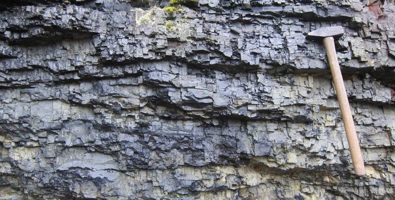 Pyrobitumen-rich Karelian rocks contain an unusual carbon-isotope signal. - Aivo Lepland