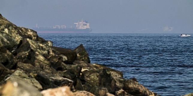 Cargo ships are seen at sea in the Gulf of Oman near the Strait of Hormuz, from a rocky shoreline near Khor Fakkan, United Arab Emirates, on May 1, 2026. - lemonde.fr