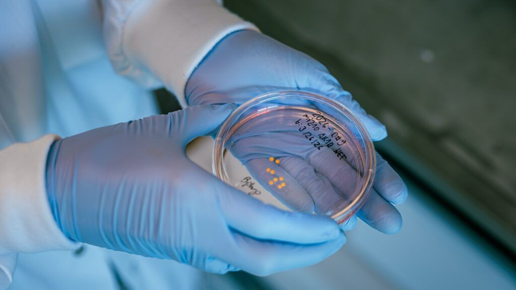 A researcher holds a lab dish containing brain organoids kept alive more than five years. - statnews.com