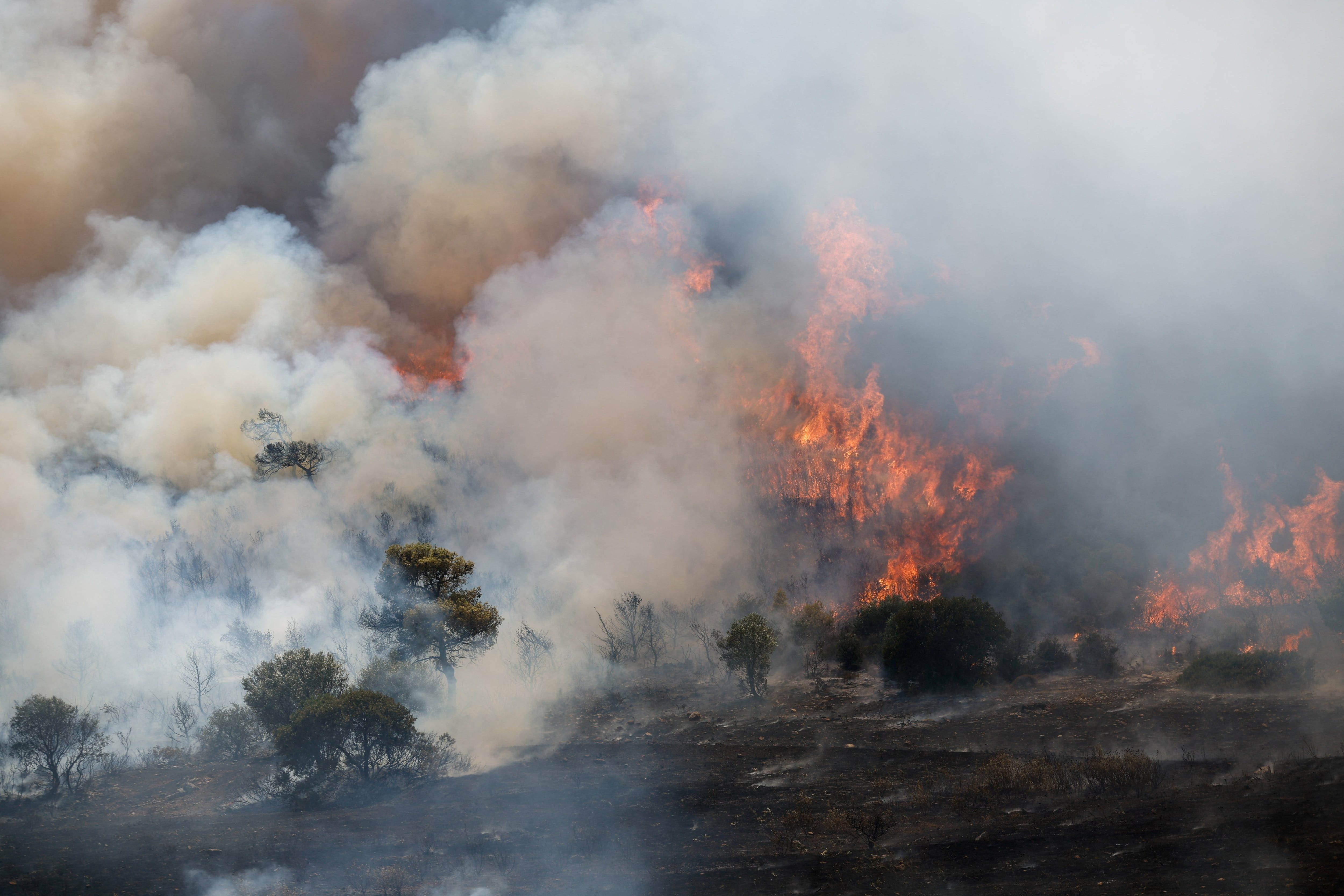 Flames engulf a forest in Greece during a European wildfire season intensified by heatwaves and early drought. - Reuters