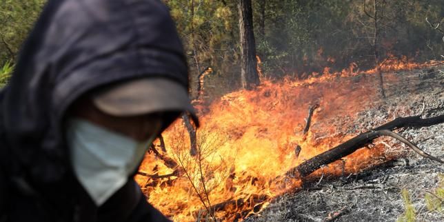 A forest officer battles a wildfire in a mountainous area near the town of Al Hachimia, Algeria, July 21, 2026. - lemonde.fr