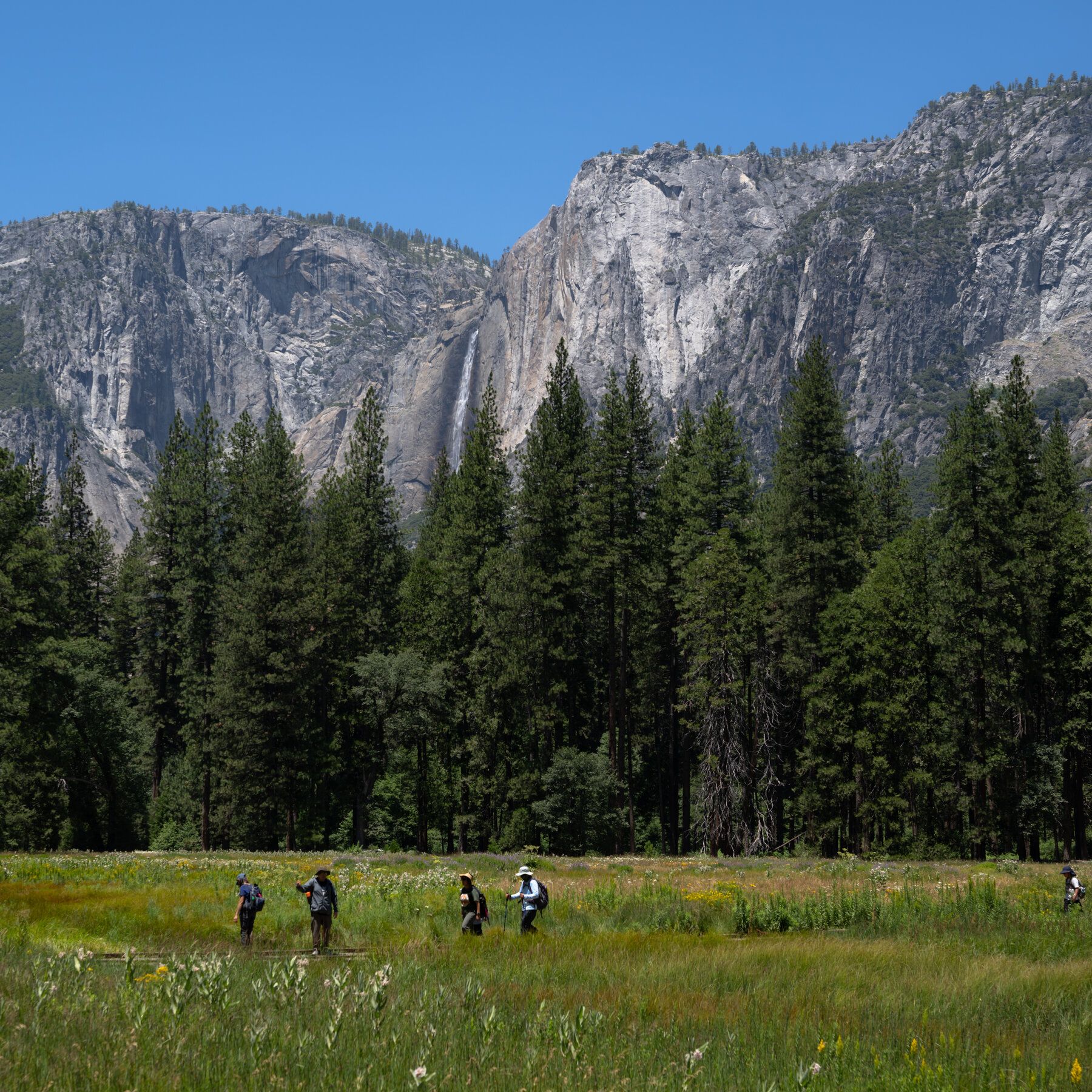 Visitors walk through Yosemite Valley in Yosemite National Park. - Mike Kai Chen / The New York Times
