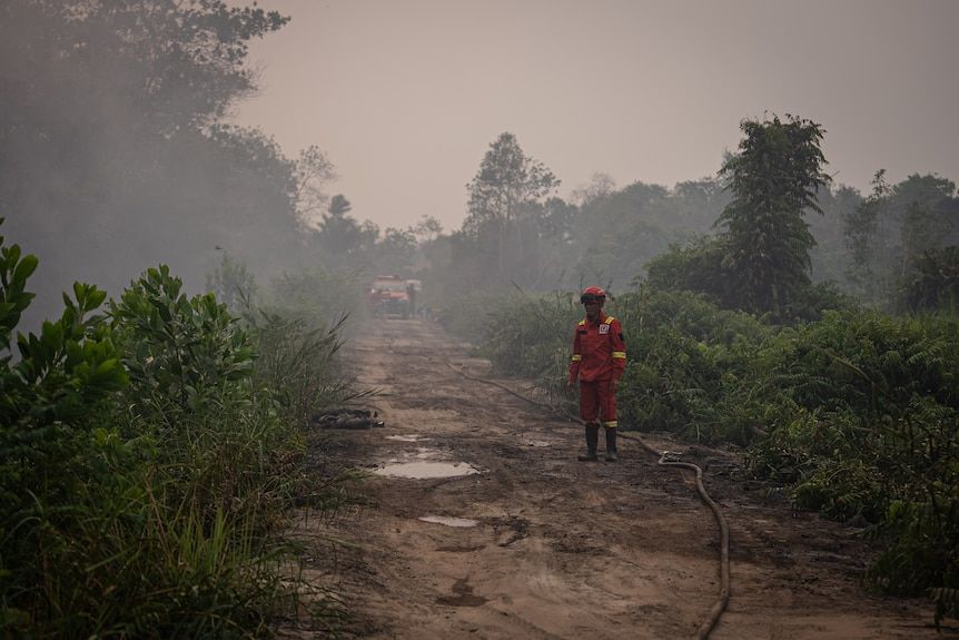 Indonesia's government warns dry weather this month will make conditions in the weeks ahead the toughest for fire crews. - ABC News: Tim Swanston