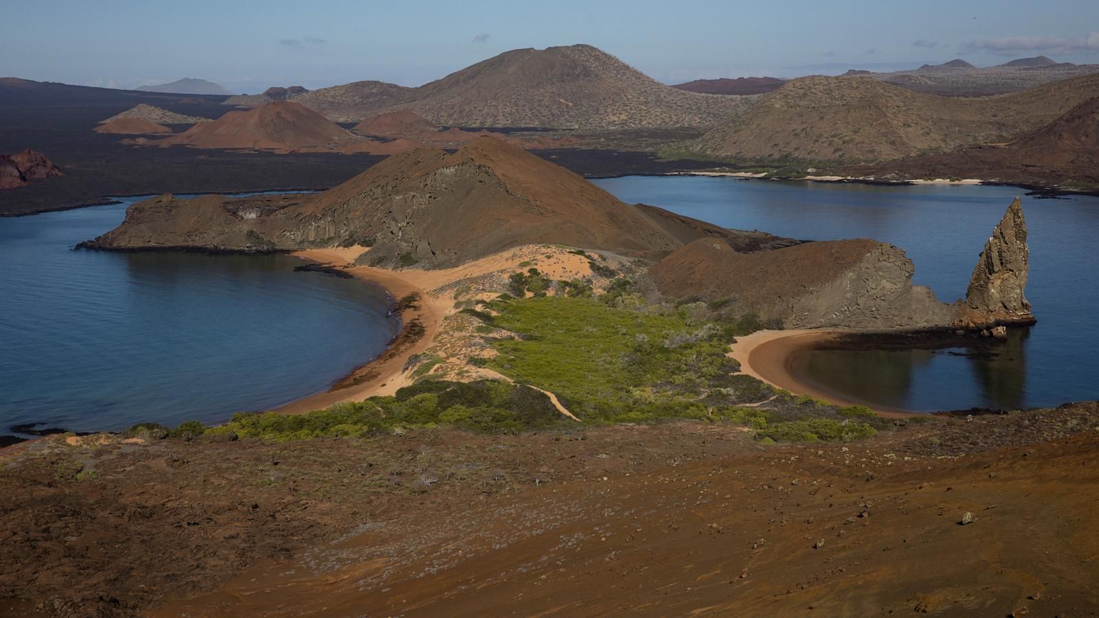 Saltwater succulents grow by the water on Bartolome Island in the Galápagos. - AP Photo/Alie Skowronski, File