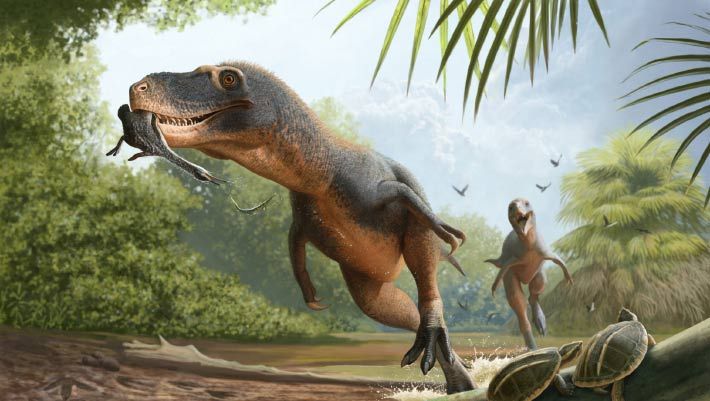 Fossil feathers identified from a hesperornithiform bird inside a dinosaur coprolite. - sci.news