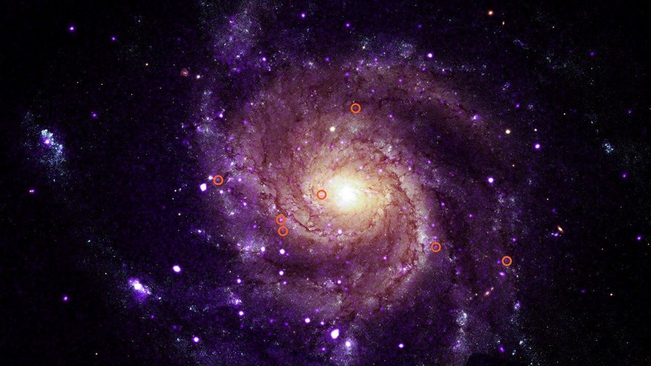 The Pinwheel galaxy, M101, with seven of the 84 Chandra-identified objects marked. - X-ray: NASA/CXC/University of Alabama/M. Muhibullah et al.; optical: NASA/ESA/STScI; image processing: NASA/CXC/SAO/N.