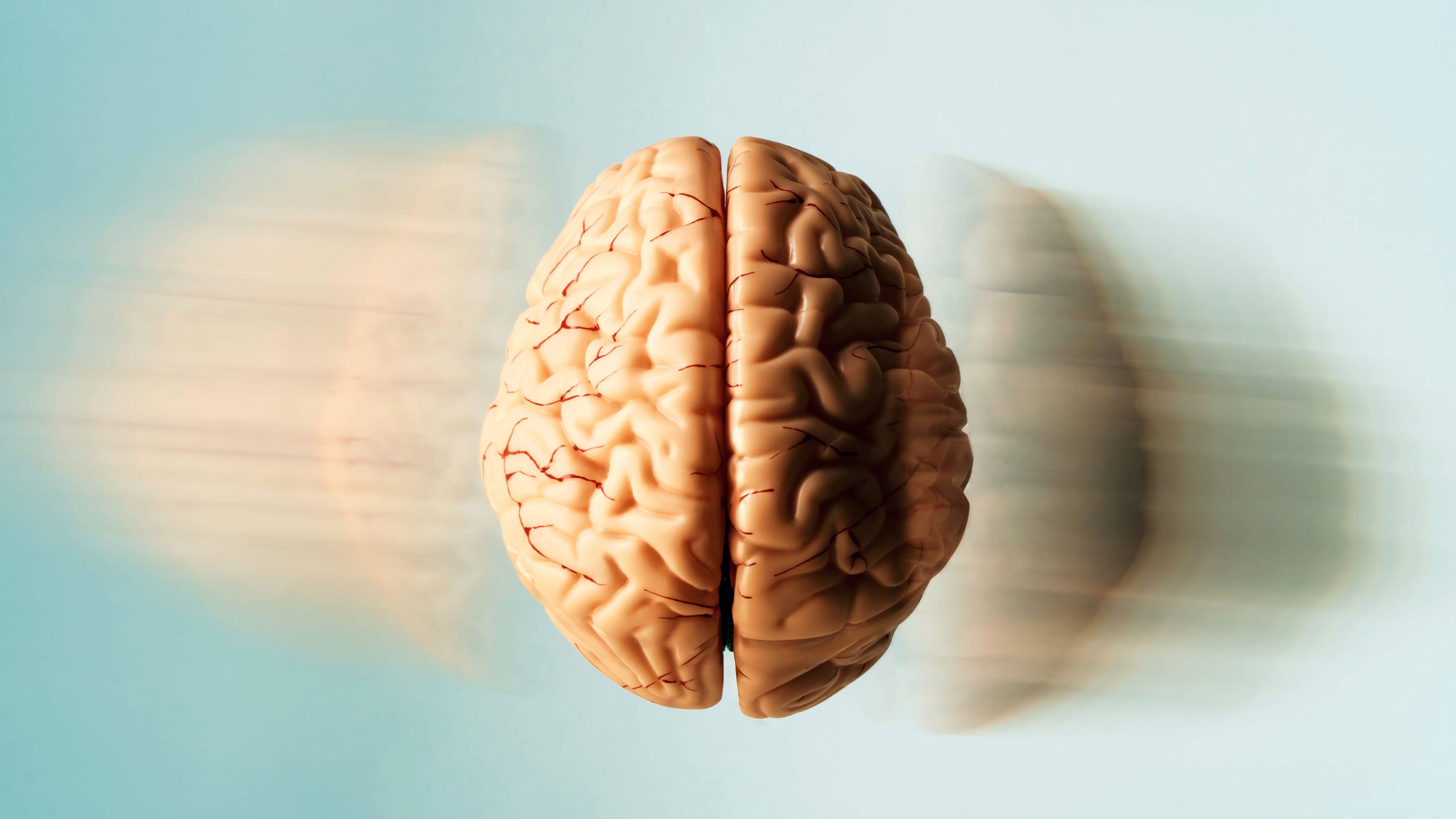 Illustration of the two brain regions that researchers say evolved independently. - Getty Images via Independent.ie