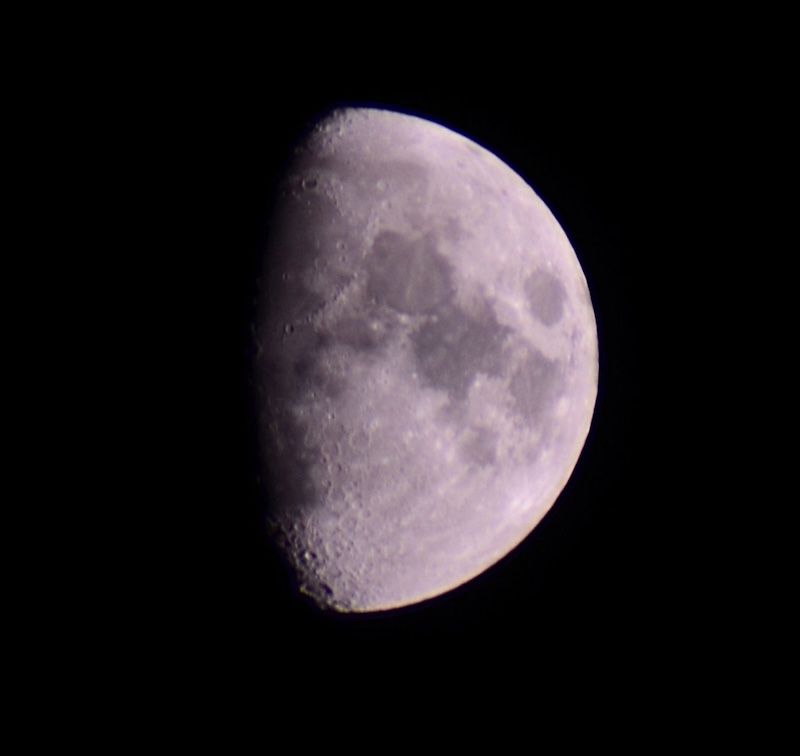 Waxing gibbous Moon photographed in Minnesota, resembling the phase visible during International Observe the Moon Night 2026. - Asha Prasad/EarthSky