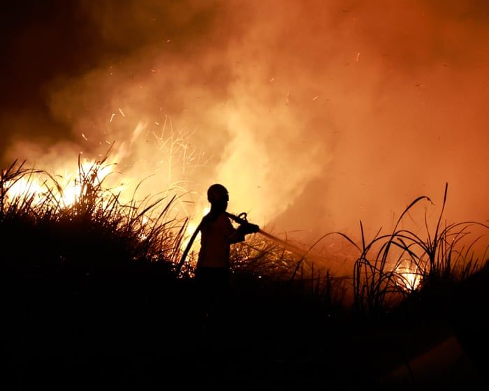 A firefighter works at a wildfire in Ogan Ilir, Sumatra, Indonesia, during the strengthening El Niño. - Mast Irham/EPA