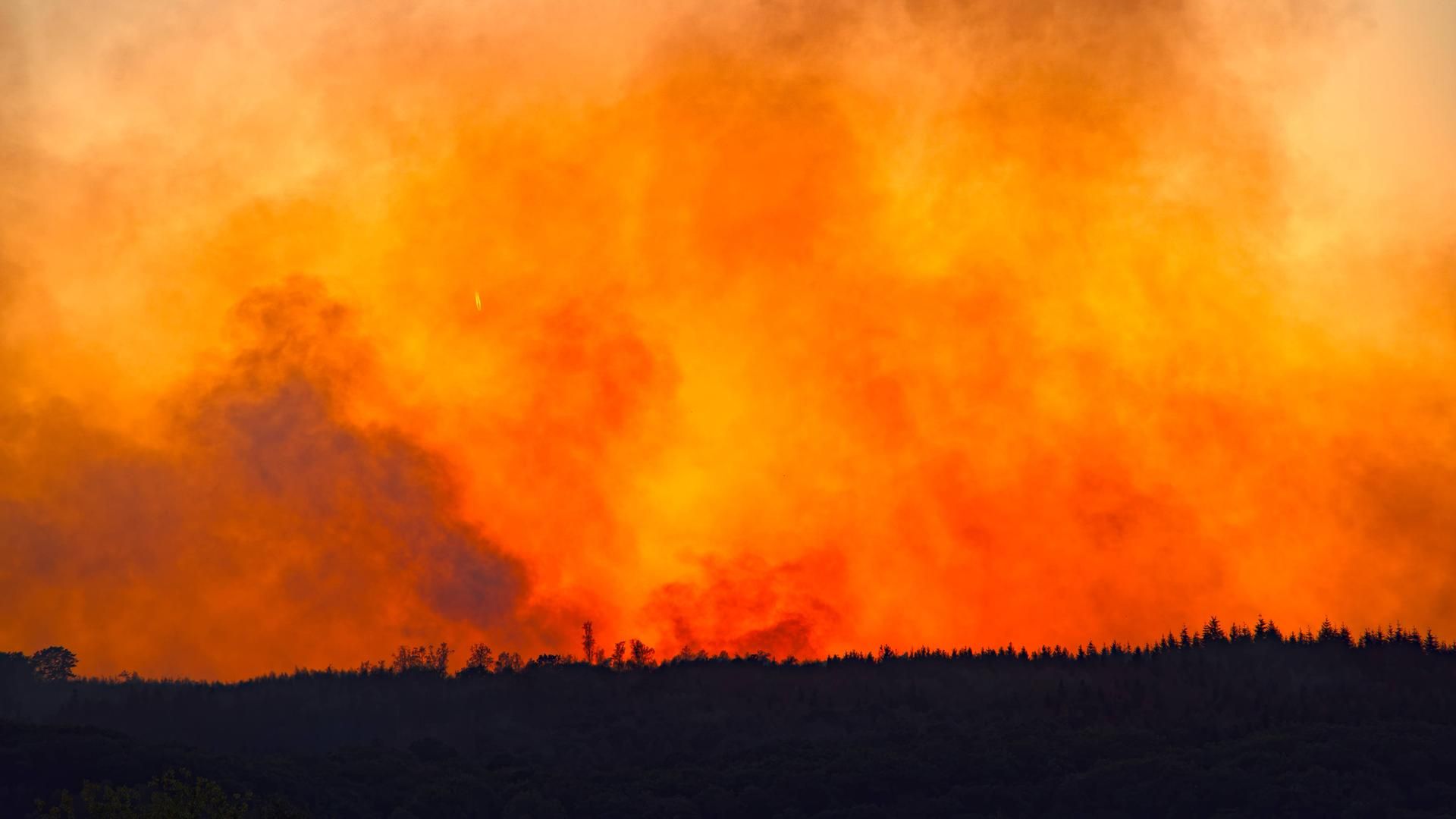Wildfires in Europe were among the extreme events cited alongside the 2026 planetary-boundaries assessment - mdr.de