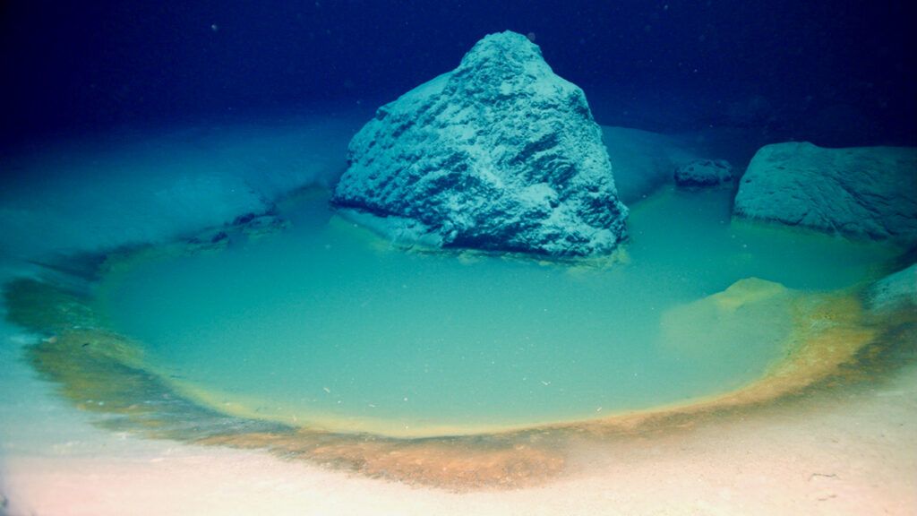 A deep-sea brine pool in the northern Red Sea surrounded by metalliferous sediments. - OceanXplorer