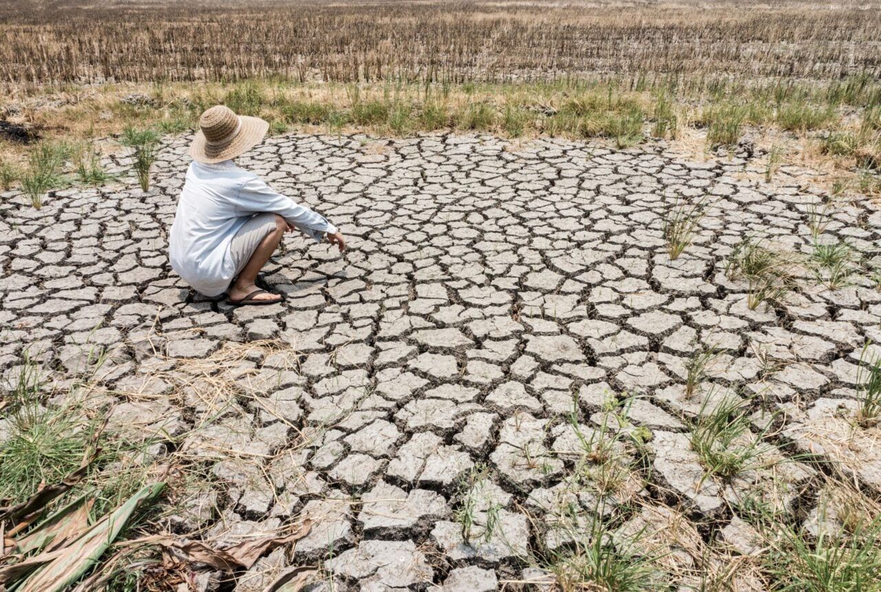 A dried-out field illustrates drought conditions associated with El Niño. - gizmodo.com
