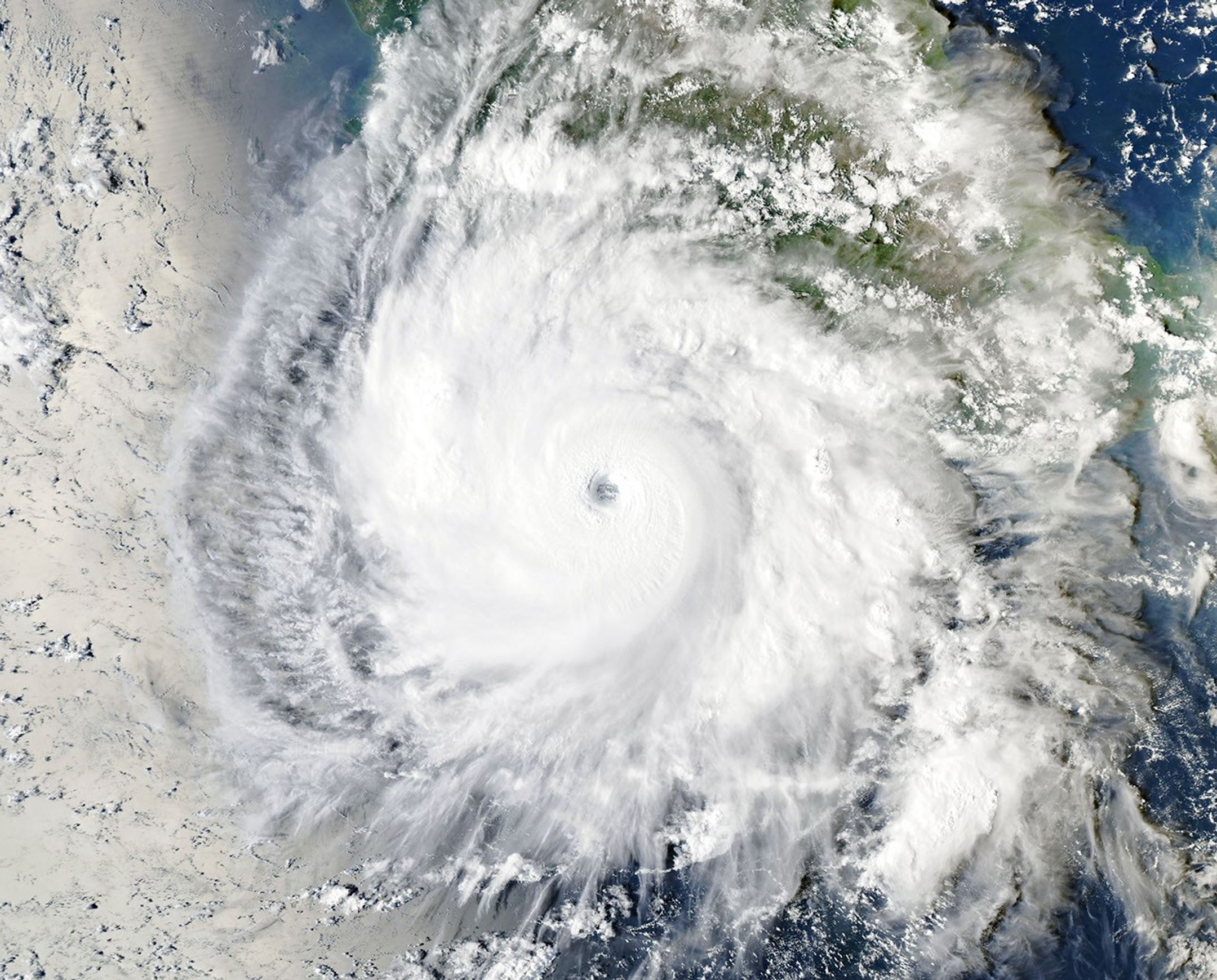Hurricane Polo off Mexico on Sept. 23, shown over unusually warm ocean water. - NASA Earth Observatory/Michala Garrison