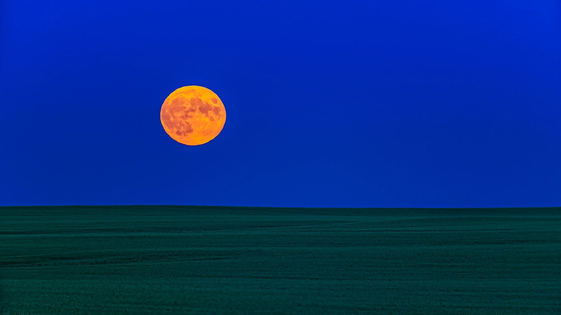 The full Harvest Moon rising over a field. - VW Pics via Getty Images