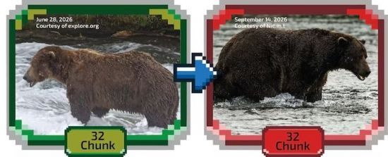 A bear featured in coverage of Alaska's 2026 Fat Bear Week - asiae.co.kr