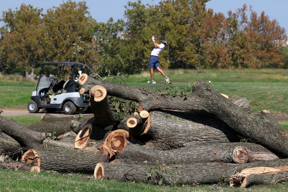 A golfer tees off near felled trees after the Trump administration cut down more than 400 trees at the historic East Potomac Golf Links last weekend, in Washington, DC, US, October 14, 2026 - (Reuters) - independent.co.uk